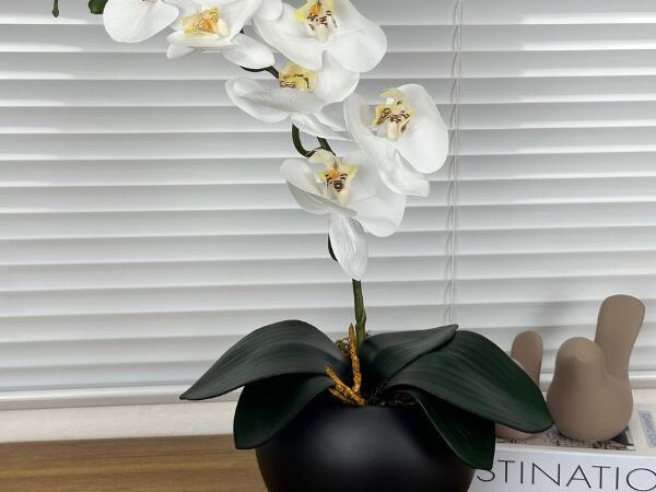 Como escolher o arranjo orquídea artificial ideal para a sua decoração?